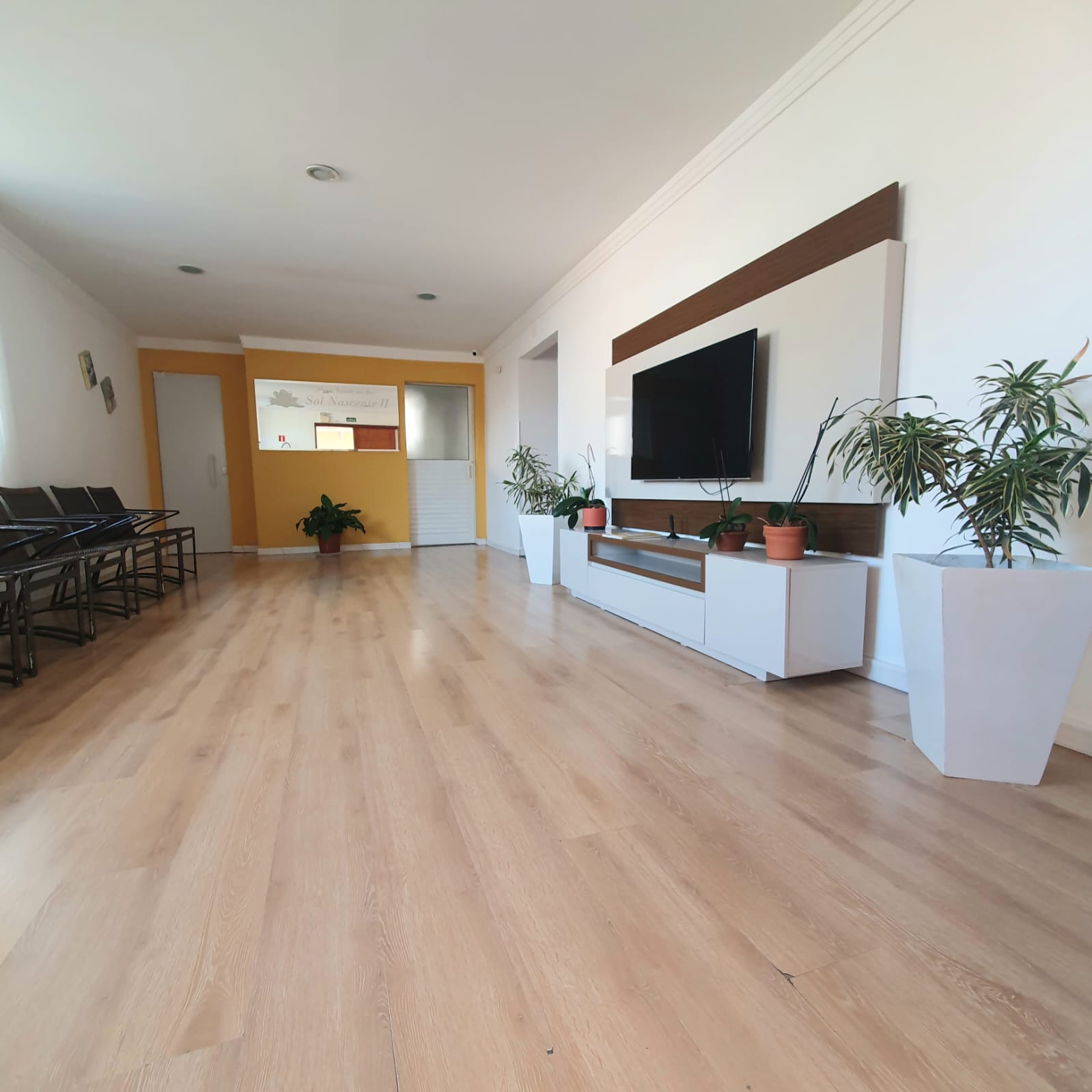 Ampla sala de estar com piso de madeira, TV e plantas decorativas
